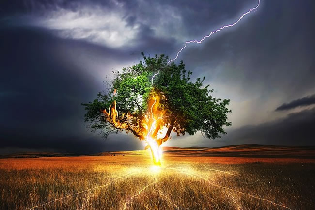 lightning-tree